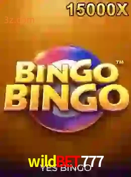 bingobingo